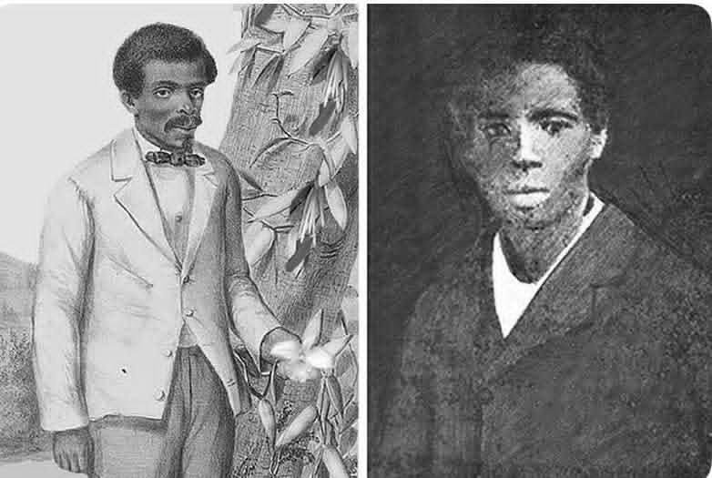 LE PETIT GARÇON ESCLAVE QUI A SAUVÉ LA VANILLE… ET QU’ON A EFFACÉ DE L’HISTOIRE.